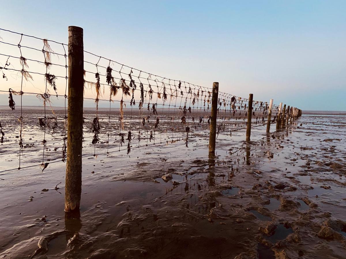 Ferien Im Wangerland Ferienwohnung Leuchtturm Minsen Schillig Hund Pool Sauna Norderaltendeich Bagian luar foto